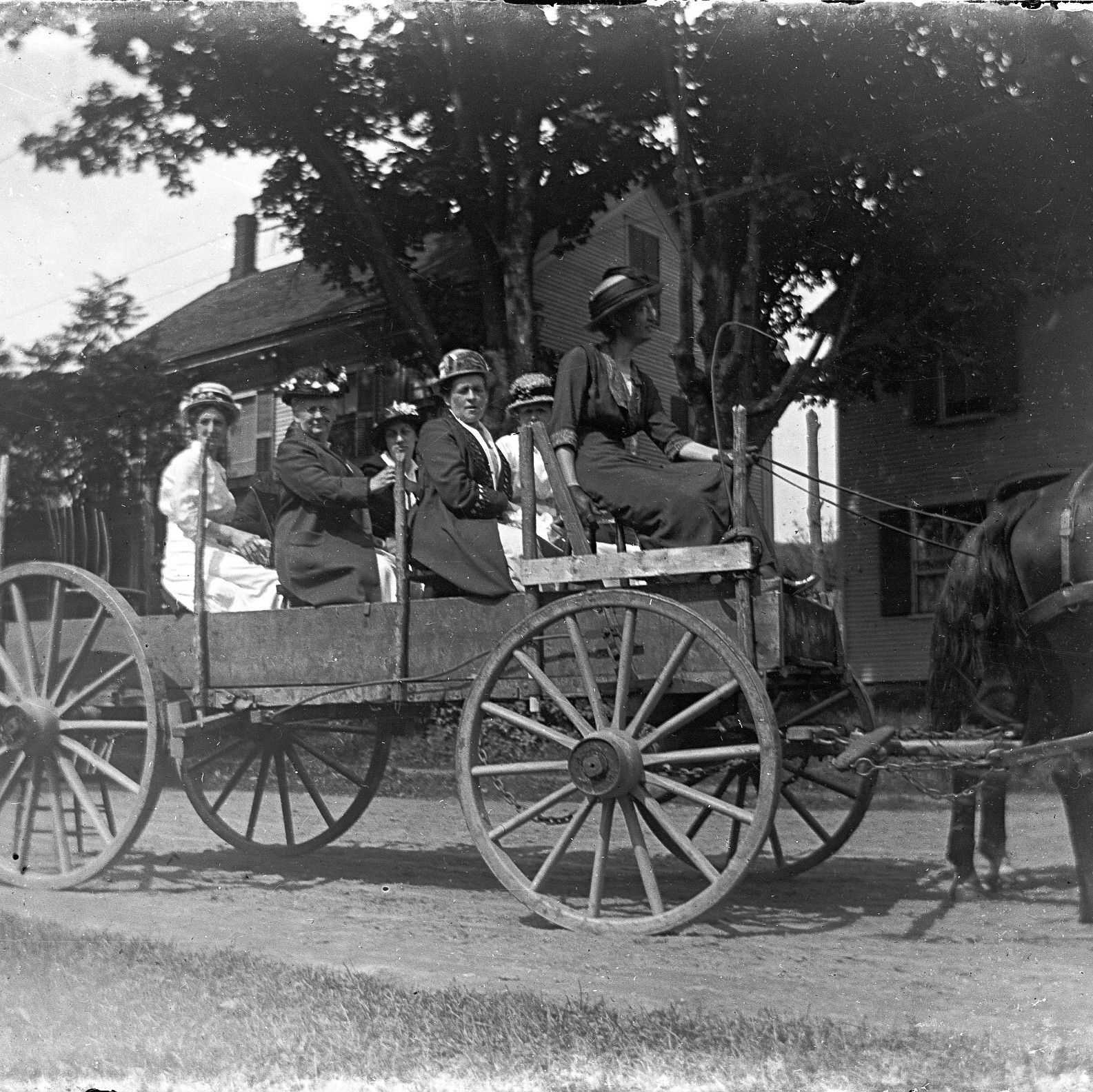 Photograph of family in a wagon by George Swallow