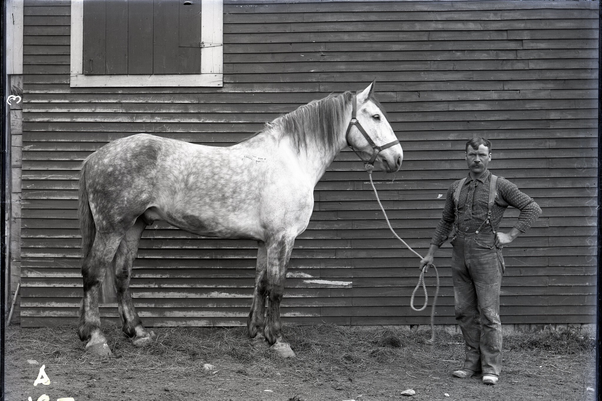 Exhibit: Oren W. Hills, Photographer