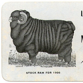Wool and Cheese