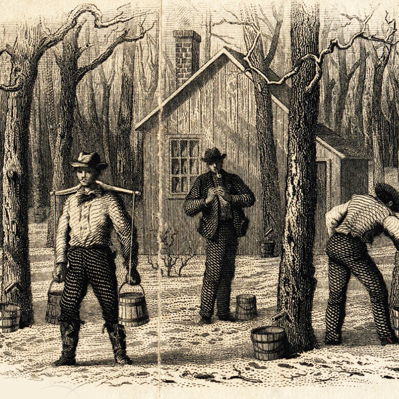 illustration of men maple sugaring with buckets