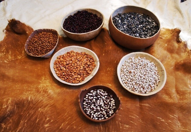 six bowls filled with different seeds on a blanket