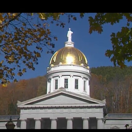 Image of dome of Vermont State House with leaves
