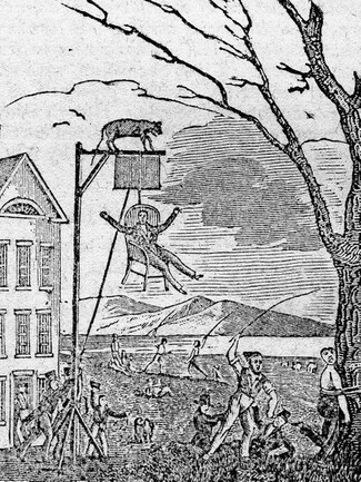 illustration of Dr. Sam Adams in a chair hung from signpost