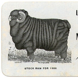 illustration of stock ram for 1906